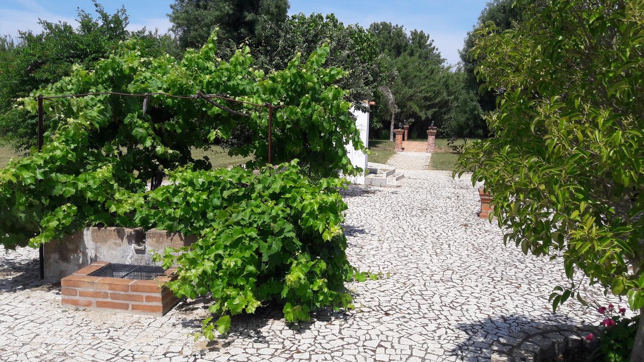 Quinta Da Abrunheira Appartement Vimieiro  Buitenkant foto