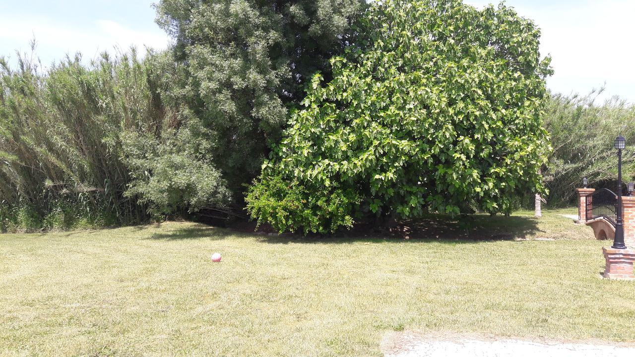 Quinta Da Abrunheira Appartement Vimieiro  Buitenkant foto